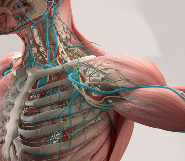 Anatomy Lab