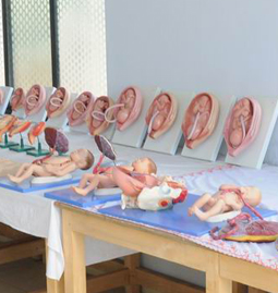 obstetric
