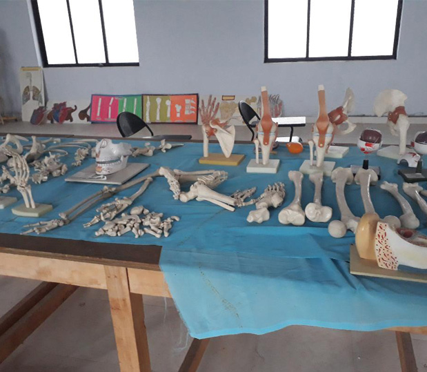 Fundamentals of Nursing Lab