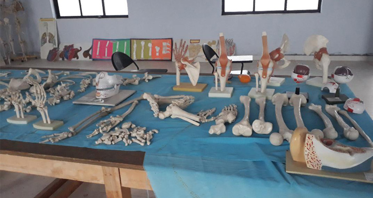 Fundamentals Lab