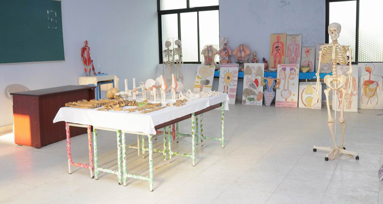 Anatomy Lab